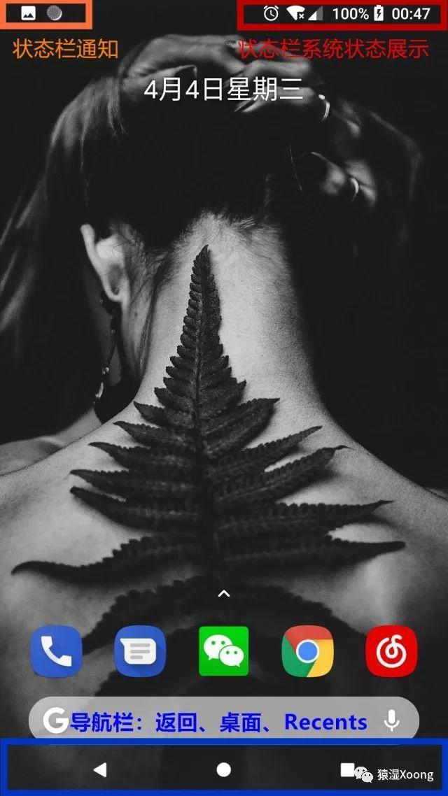 状态栏与导航栏