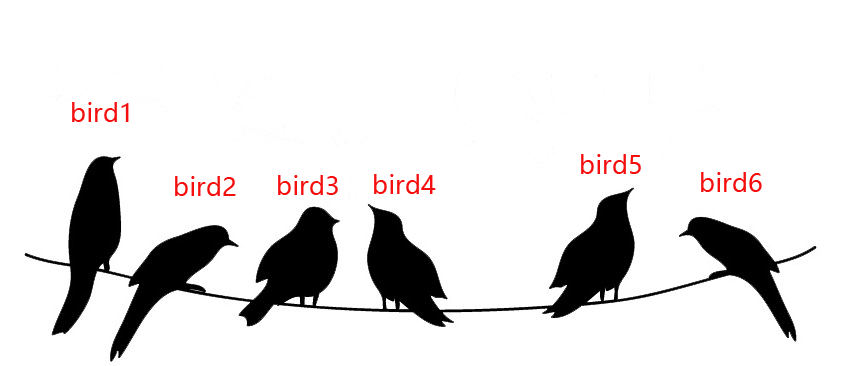birds