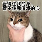 王秉权的个人资料头像