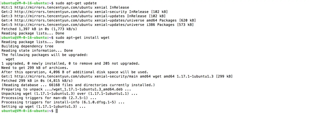 install-wget.png