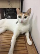 DreamLee的个人资料头像