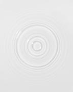 小懒喵的个人资料头像