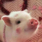 Junge的个人资料头像