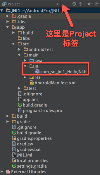 生成后目录一栏