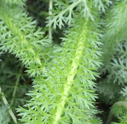 圈圈555的个人资料头像