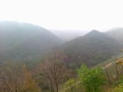 简简单单小先生的个人资料头像