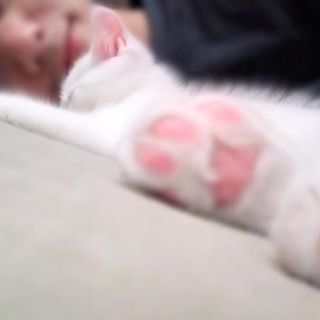 friday_fj于2018-04-22 23:31发布的图片