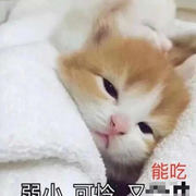 pumpkinGirl的个人资料头像