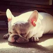 dou_xiao的个人资料头像