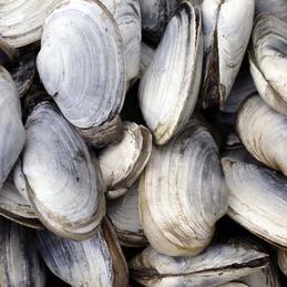 网路冷眼于2018-04-23 09:23发布的图片