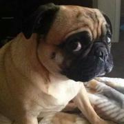 suger_的个人资料头像