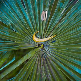 Abduzeedo每日设计灵感于2018-04-24 11:04发布的图片