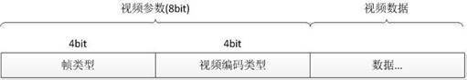 video Tag Data结构