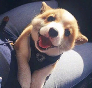 JackieZhang19421的个人资料头像