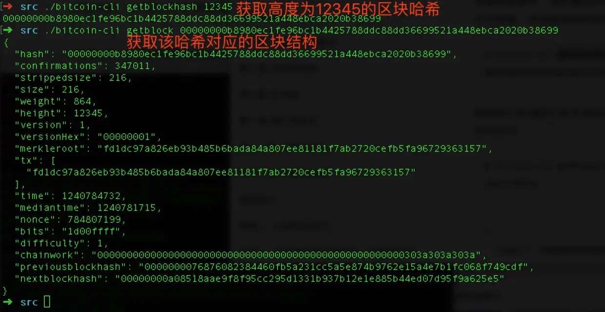 bitcli-cli获取区块信息