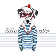 Allen_sir的个人资料头像