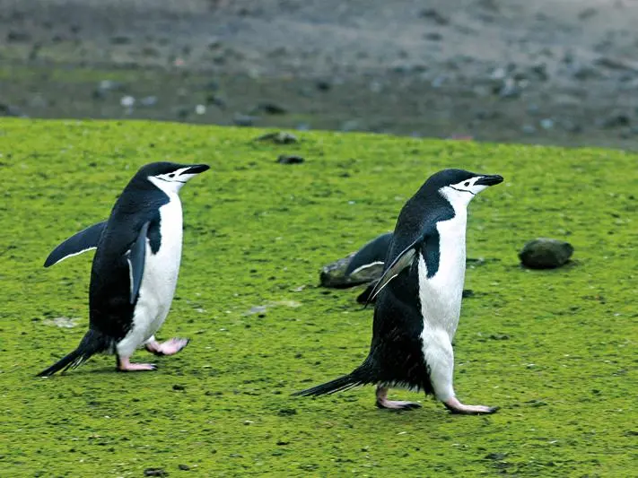 图片来自http://www.dili360.com/