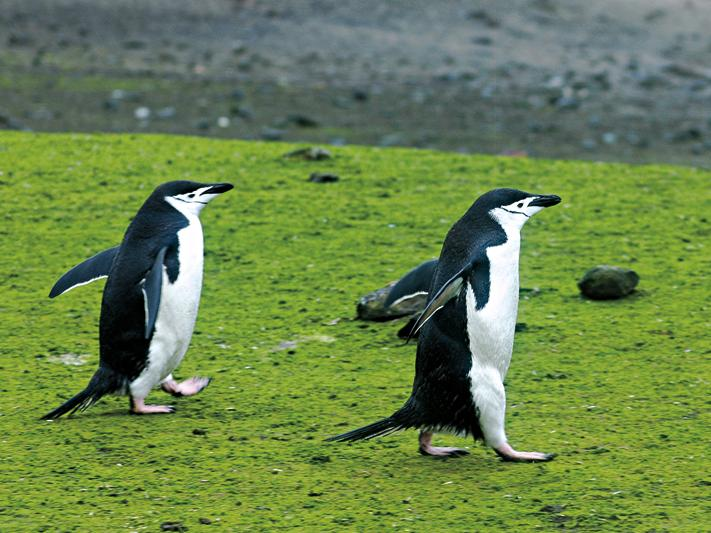 图片来自http://www.dili360.com/