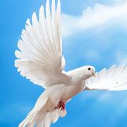 不想的个人资料头像