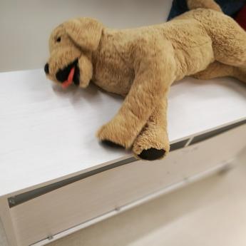 hkaiping于2018-04-27 23:14发布的图片