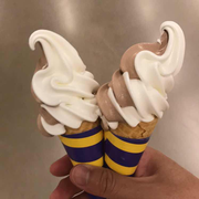 rexmolo的个人资料头像