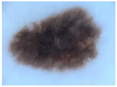 26a824689bb7d1180b91cc6106b233f07d130000