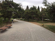 tmgowh的个人资料头像