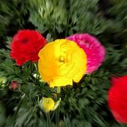 霸啵儿奔的个人资料头像