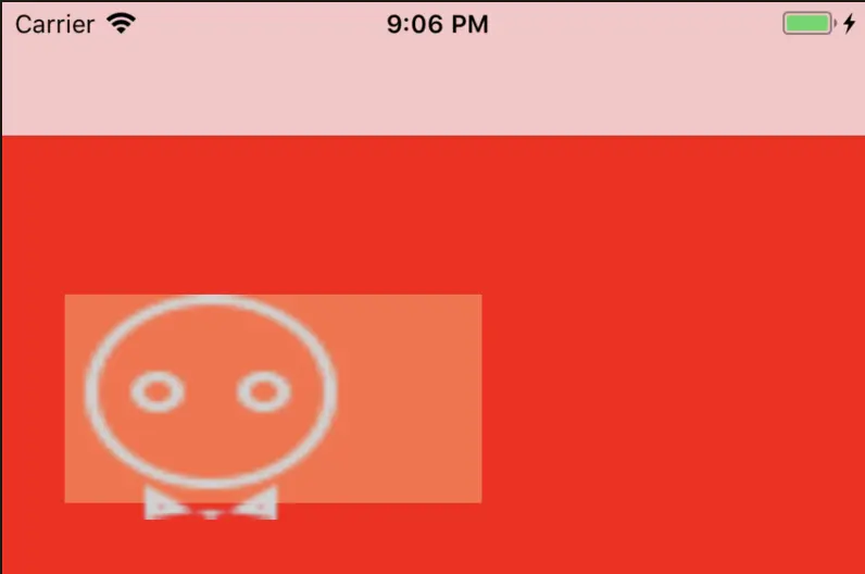 xib成功显示图片