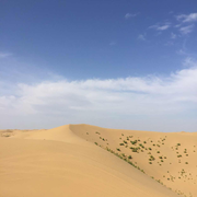 似氺丶蓅哖的个人资料头像