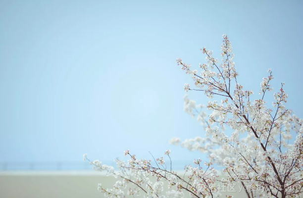 a04492e5e999be508cb4dd520a16d814c73336dc