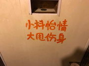 肌肌腹肌肌的个人资料头像