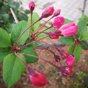 Yuan不想说话35720的个人资料头像