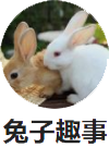 Papio的个人资料头像