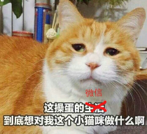 妙用AccessibilityService黑科技实现微信自动加好友拉人进群聊