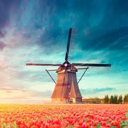 泰兴辰安的个人资料头像