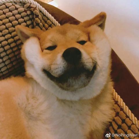 NoPingWest更新于2018-04-09 21:20发布的图片