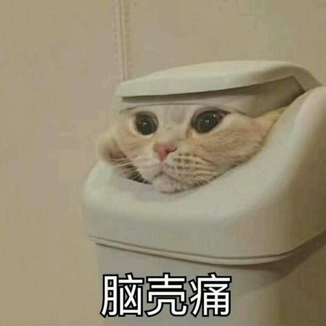 _one_rz_xyz于2018-05-10 15:25发布的图片