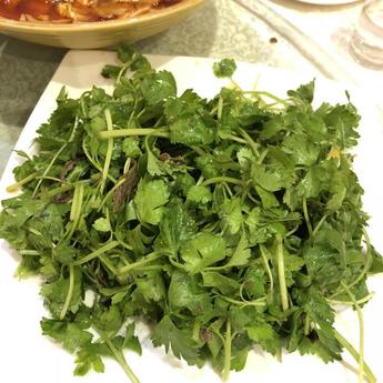 一颗香菜于2018-05-11 12:12发布的图片