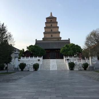 王兴的饭否于2018-05-11 19:20发布的图片