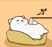 摩卡先生的个人资料头像