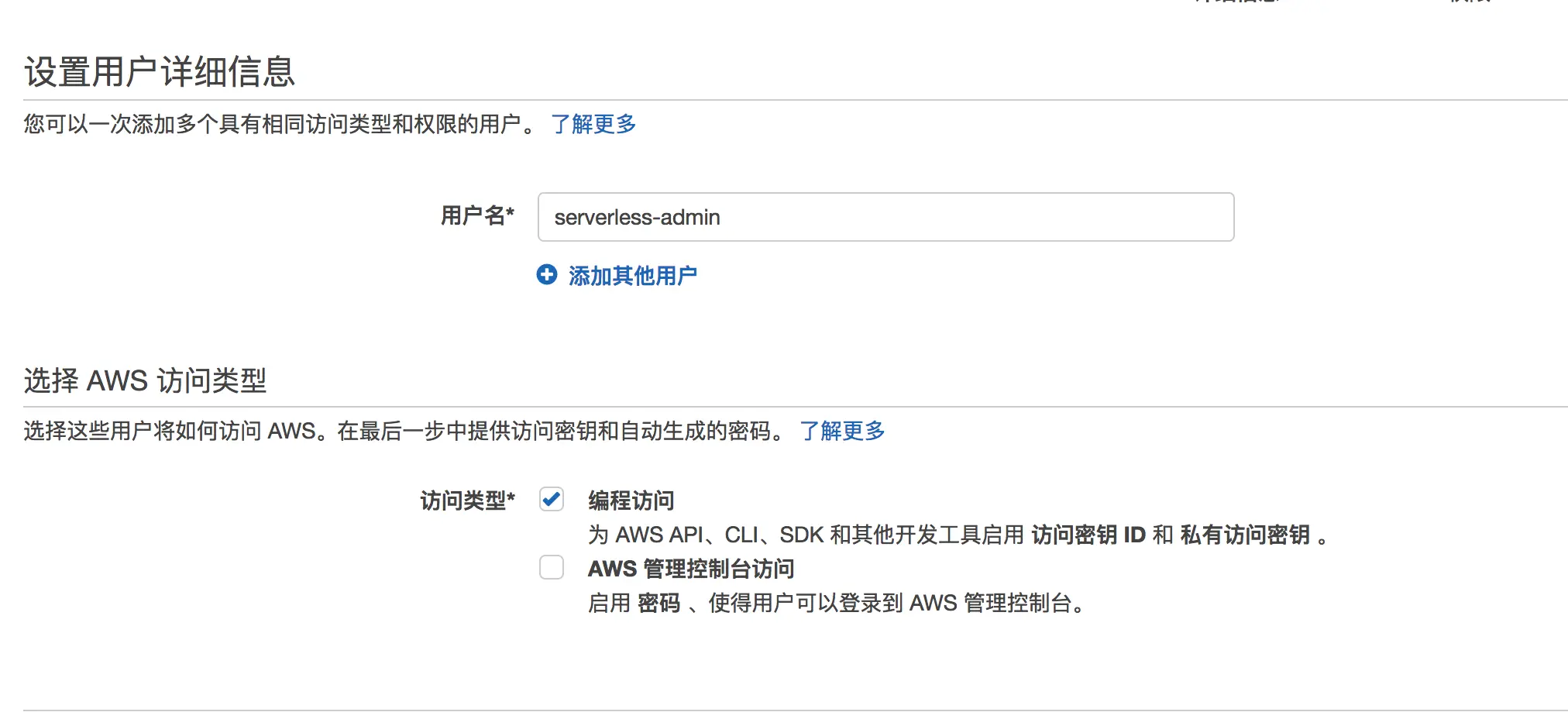 编程访问 serverless