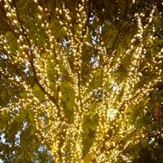 Qinhir44971的个人资料头像