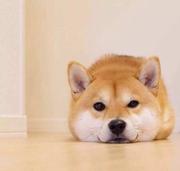 王星航的个人资料头像