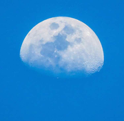 云陌的个人资料头像