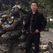 Rocdodo的个人资料头像