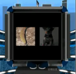 6679c63617b4b9f94d95ac475593d38cfc1ff91f 