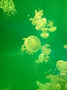 不一于汝的个人资料头像