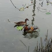 活跃的冲劲的个人资料头像