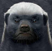 KevinKe18670的个人资料头像